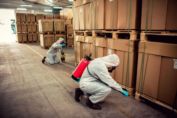 Best Termite Control Services  in Doolittle, TX