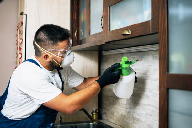 Best Residential Pest Control  in Doolittle, TX