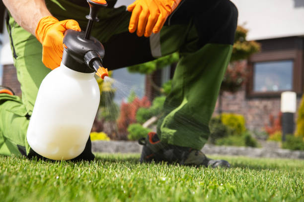 Wasp Removal Services in Doolittle, TX