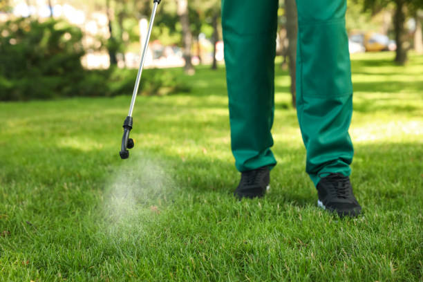 Best Best Pest Control Companies  in Doolittle, TX