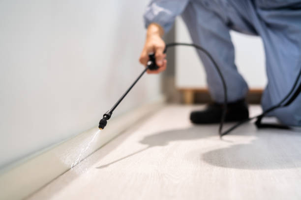 Flea Control Services in Doolittle, TX