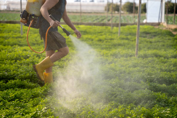 Best Mosquito Control Services  in Doolittle, TX
