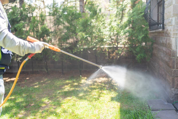 Best Pest Control for Homes  in Doolittle, TX