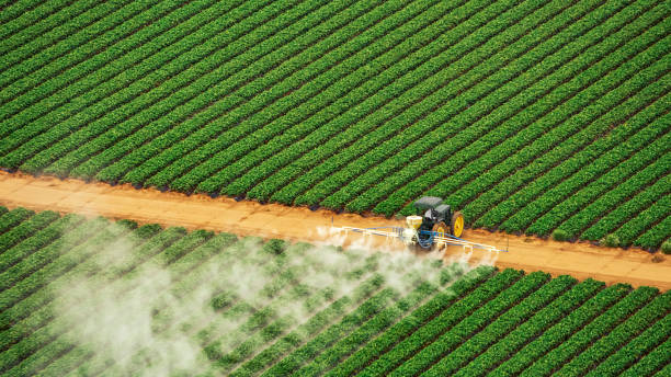 Professional Pest Control in Doolittle, TX