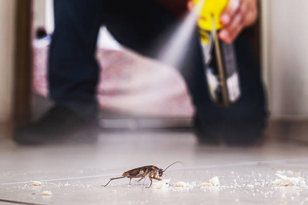 Pest Control Cost in Doolittle, TX