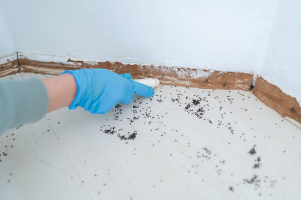 Best Cockroach Control Services  in Doolittle, TX